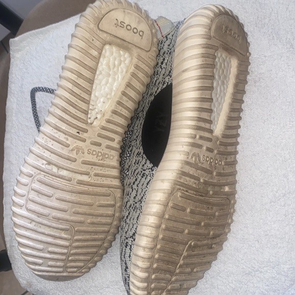 Yeezy Turtle Dove - Picture 10 of 11